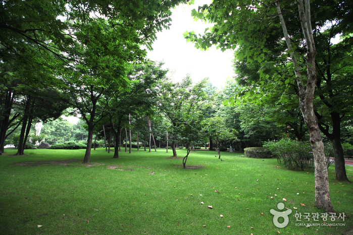 Dosan Park (도산공원)