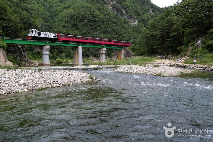 Baekdudaegan Mountain Range Canyon Train (V-Train) (백두대간협곡열차 (V-트레인))