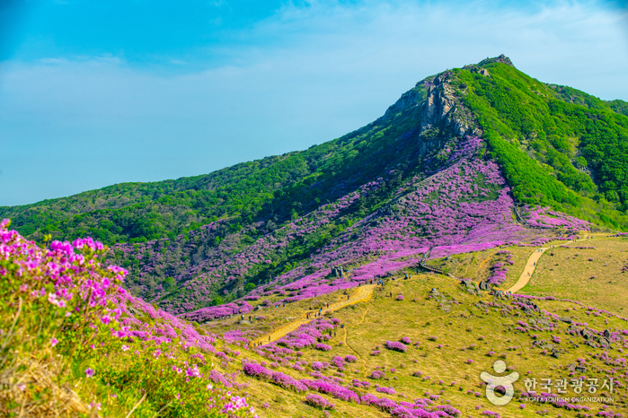 Monte Hwangmaesan (황매산)