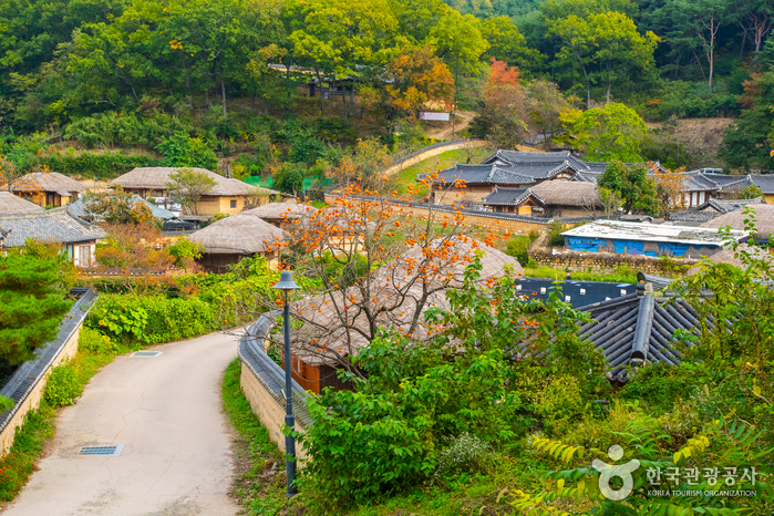 慶州良洞村[UNESCO世界文化遺產](경주양동마을[유네스코 세계문화유산])