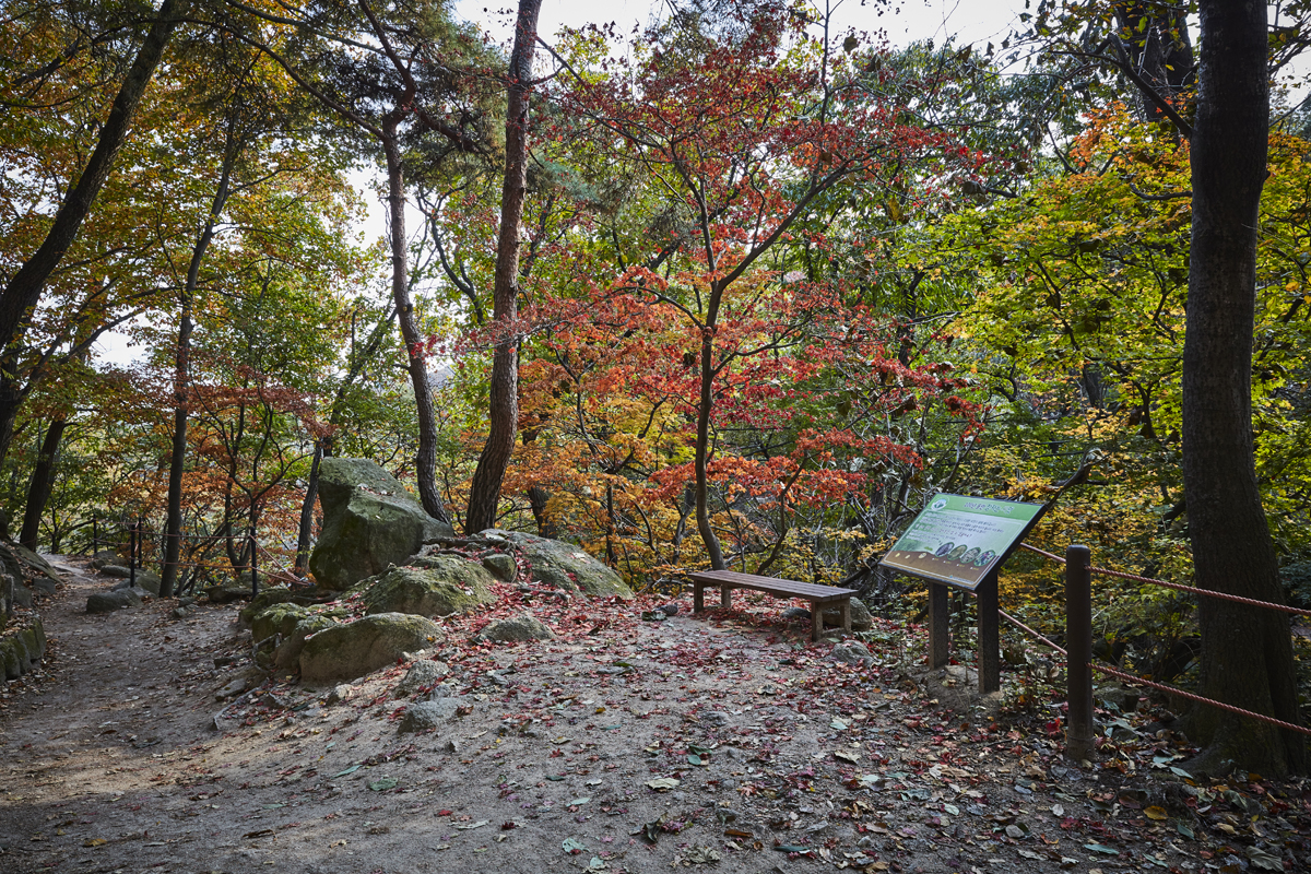Parque Nacional del Monte Bukhansan (북한산국립공원(서울))18