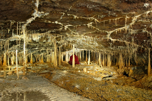Dangcheomuldonggul Cave [UNESCO World Natural Heritage Site] (당처물동굴 [유네스코 세계자연유산])