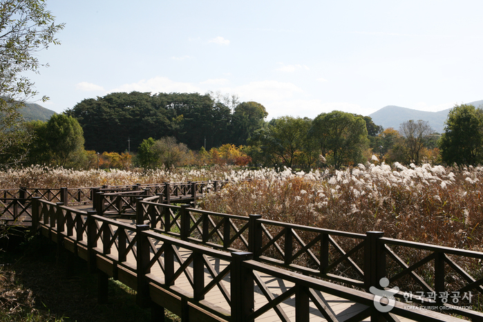 Gwangjuho Lake Eco Park (광주호 호수생태원)