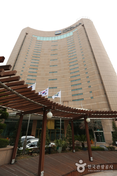 Search Hotels : Visitkorea Niagara Hotel (나이아가라호텔) | Official Korea Tourism  Organization