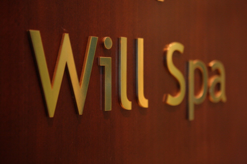 Will Spa (윌스파)