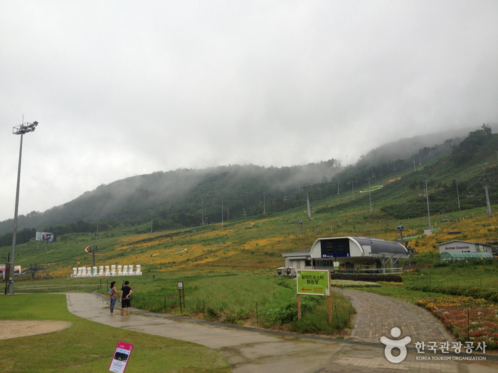 Holiday Inn Resort, Alpensia Pyeongchang (홀리데이인 알펜시아 평창 리조트)