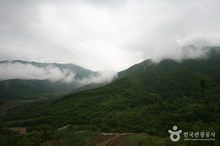 智异山国立公园(山清)<br>지리산국립공원(산청)