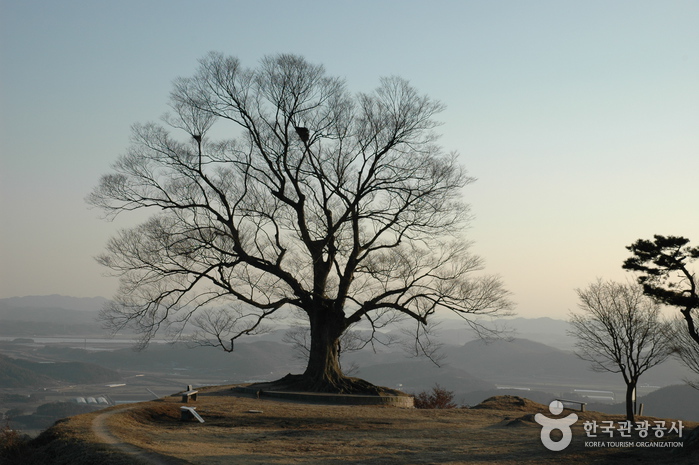 Destinations by Region : VisitKorea Destinations by Region Buyeo Garimseong Fortress (부여 가림성) | Official Korea Tourism Organization