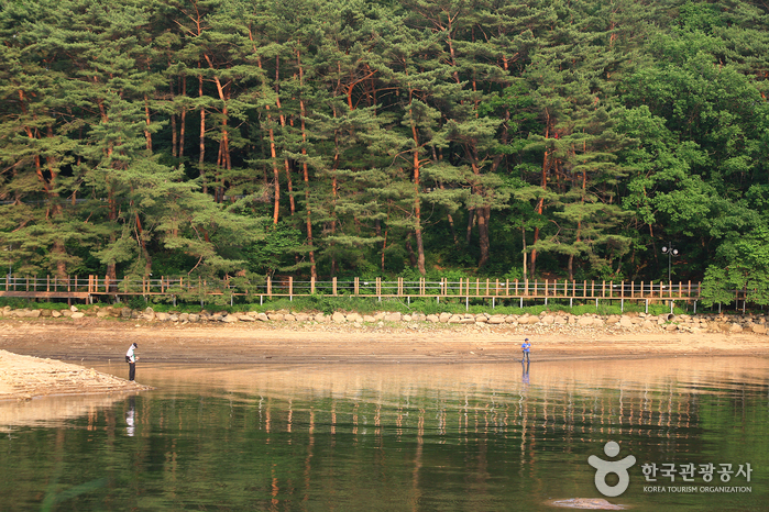 Pocheon Sanjeonghosu Lake (포천 산정호수)