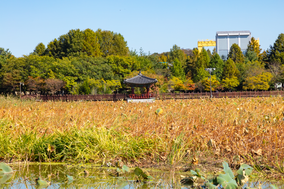 Deokjin Park (덕진공원)