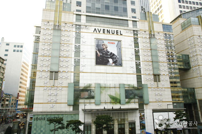 Lotte Department Store - Avenuel Branch (롯데백화점 (에비뉴엘))