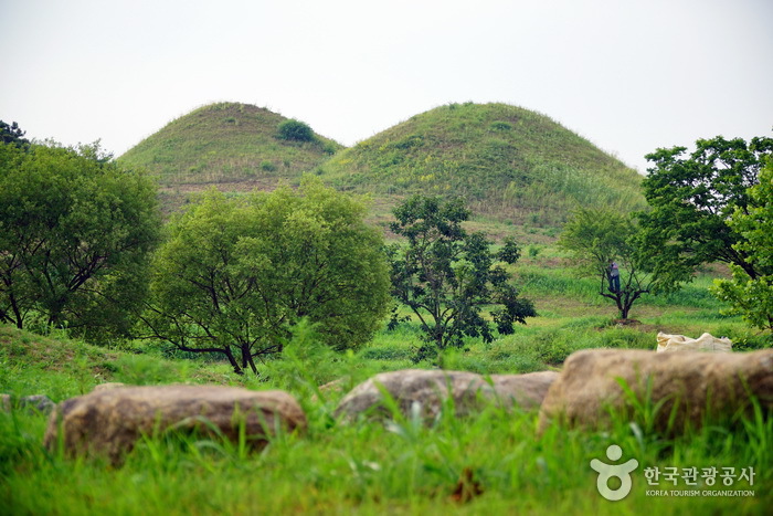 Ancient Tombs in Bullo-dong (대구 불로동 고분군)