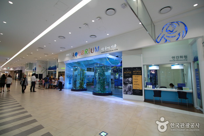 Aquarium del COEX (코엑스 아쿠아리움) 9