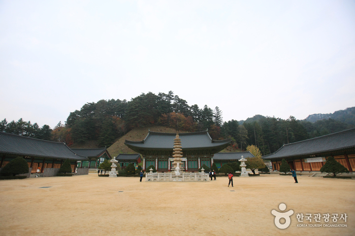 Programme de Temple Stay à Woljeongsa (월...