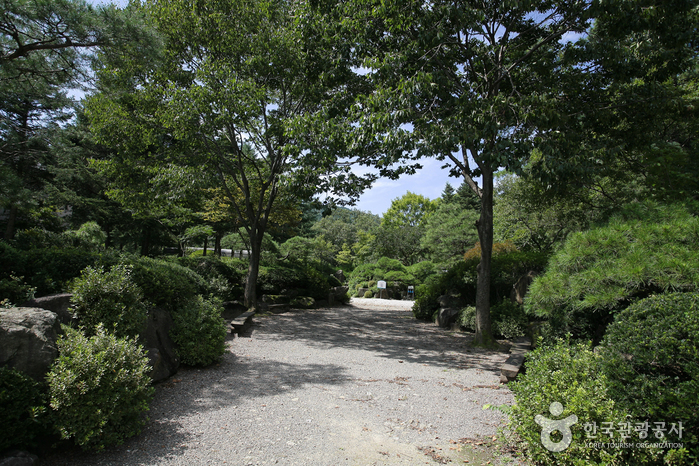 Korea National Arboretum and Forest Museum (Gwangneung Forest) (국립수목원 (광릉숲))