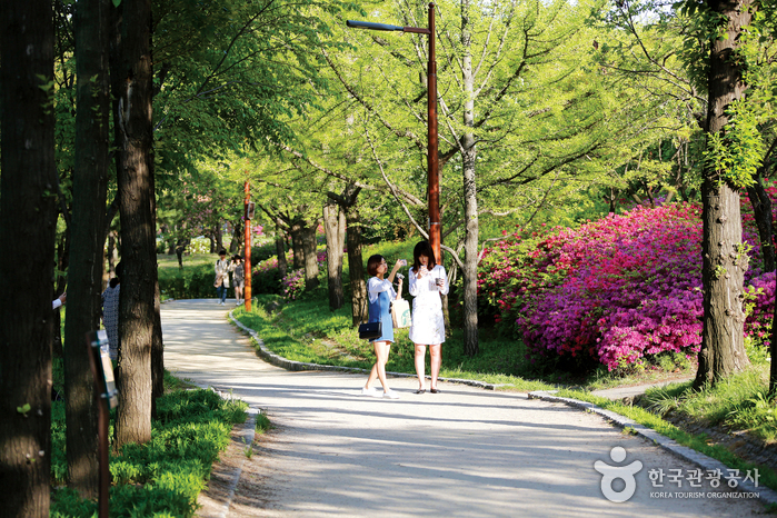 Seonyudo Park (선유도공원)