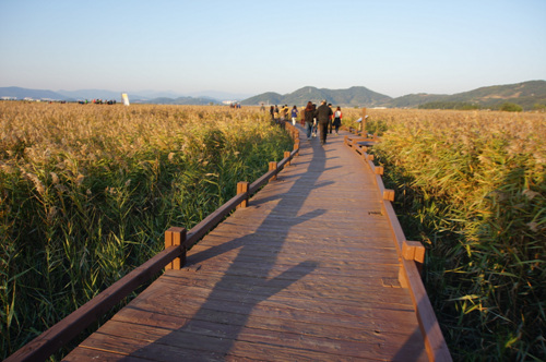 Zone des marais de la baie de Suncheonma...