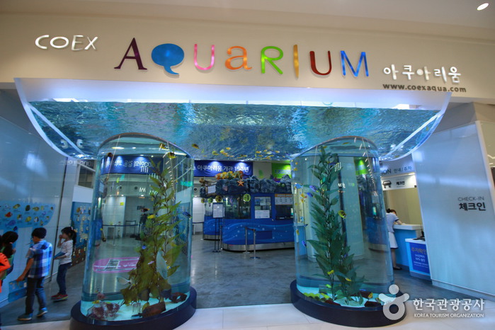 Aquarium del COEX (코엑스 아쿠아리움) 10