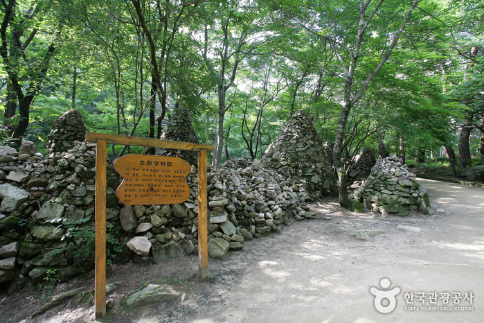 Провинциальный парк Мунгён Сэчжэ (문경새재도립공원)5