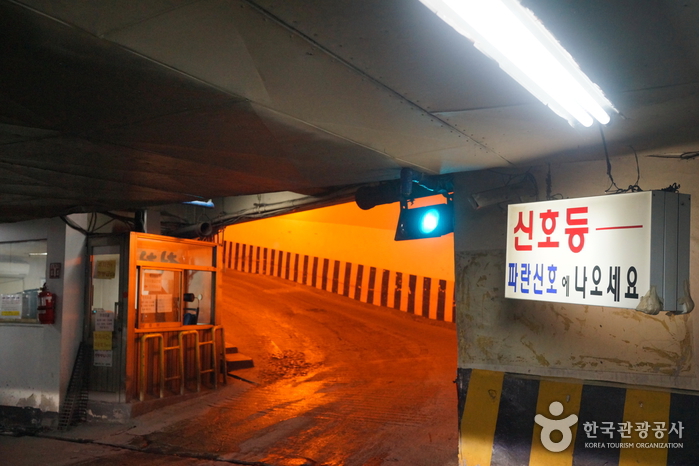 Seoul Gyeongdong Market (서울 경동시장)