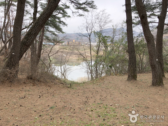 Cheongnyeongpo Cape - Gangwon Paleozoic Geopark (청령포 (강원고생대 국가지질공원))