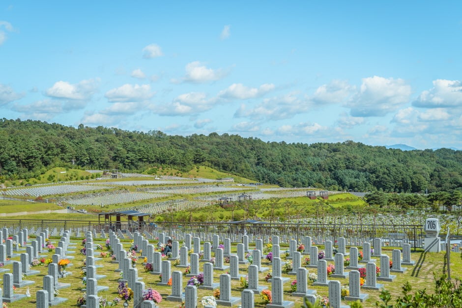 Daejeon National Cemetery Patrotic Footpath (국립대전현충원 보훈둘레길)