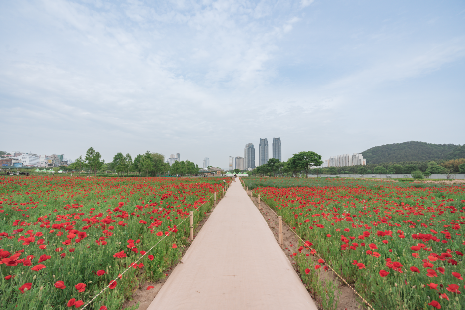 Taehwagang National Garden (태화강 국가정원)