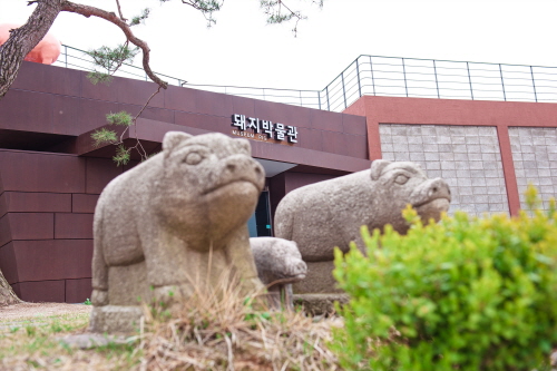 Pig Museum (돼지박물관(돼지보러오면돼지)) 