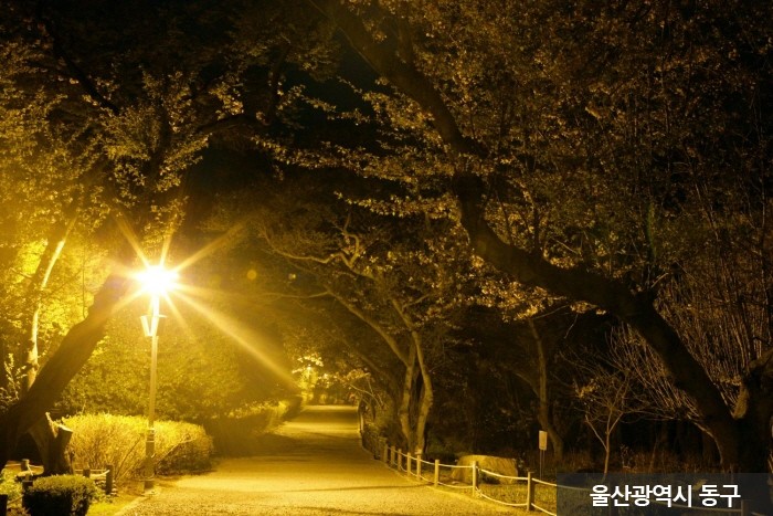 Daewangam Park (대왕암공원)