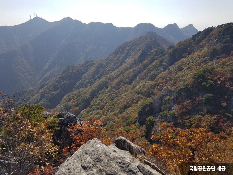 鸡龙山国立公园(계룡산국립공원)