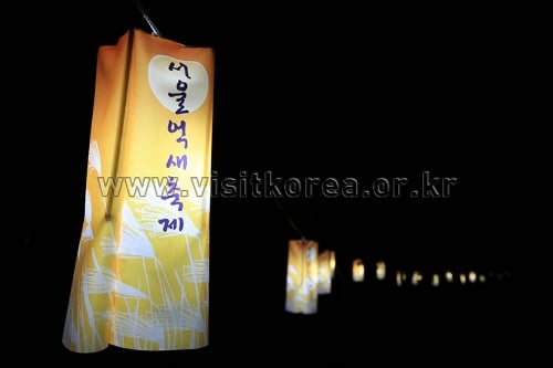 Festival de Eoksae de Seúl (서울억새축제)20