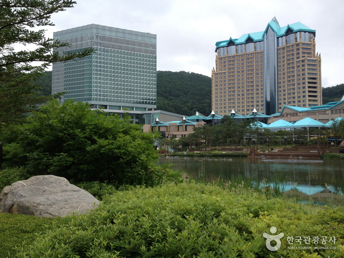 Kangwon Land Casino (강원랜드 카지노)