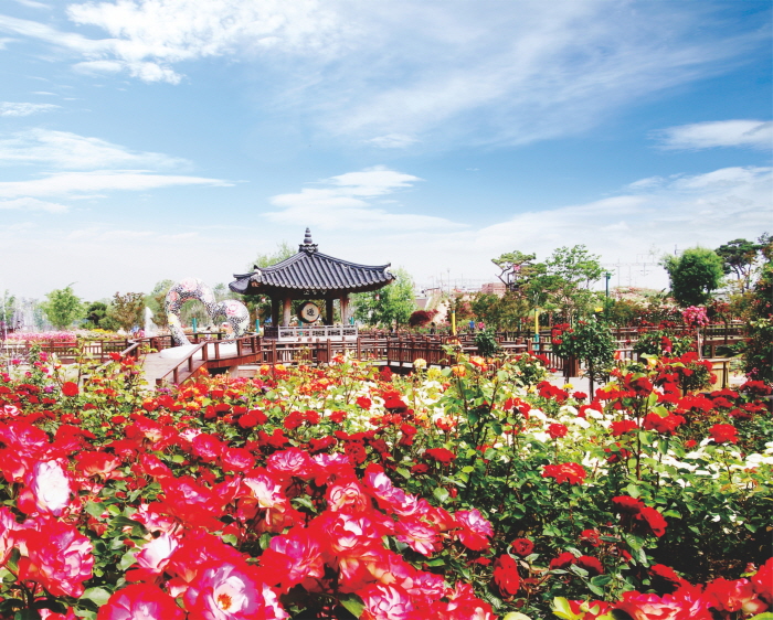 Gokseong International Rose Festival (곡성 세계장미축제)