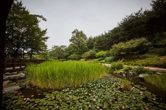 Jardin botanique de Namsan (남산 야외식물원)