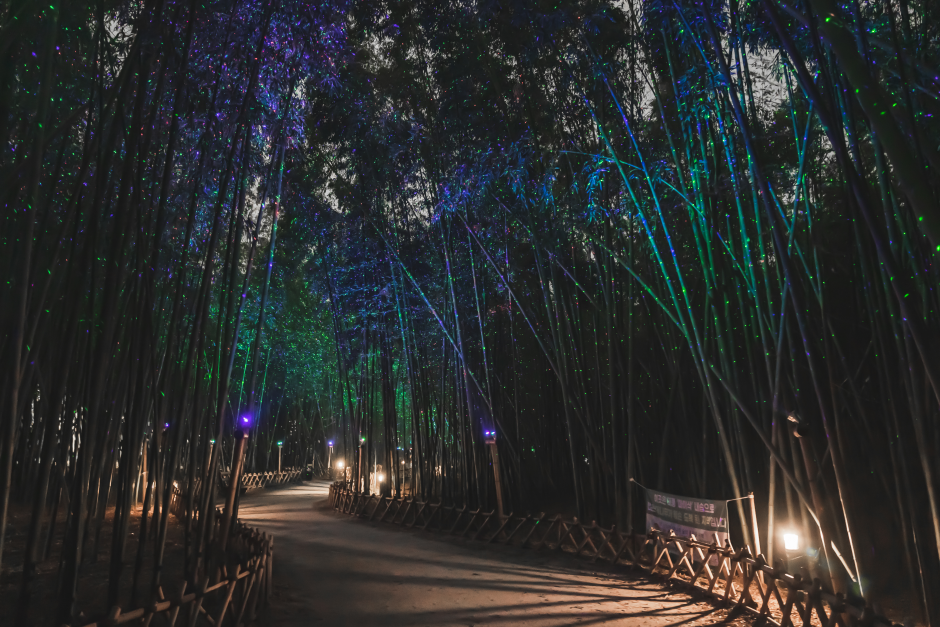 Taehwagang National Garden and Simni Bamboo Grove (Eunhasugil) (태화강 국가정원 십리대숲 (은하수길))