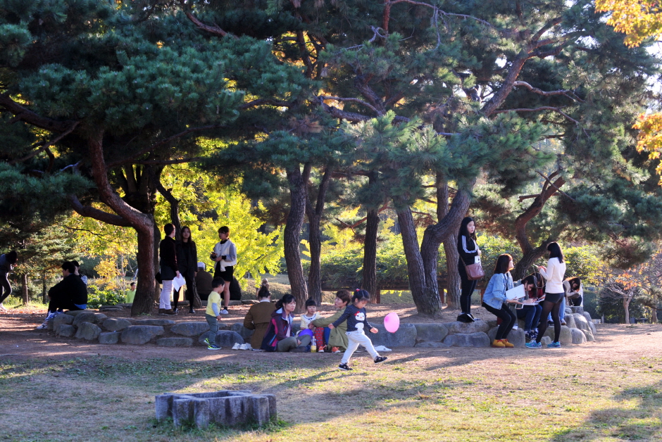 Jungoe Park (중외공원)