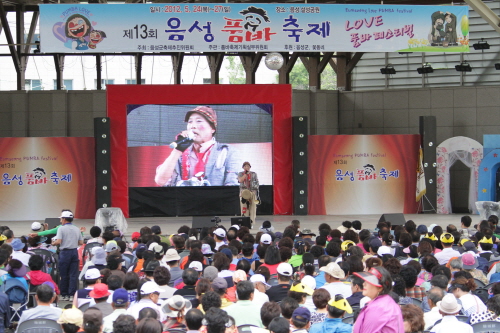 Eumseong Pumba Festival (음성 품바축제)