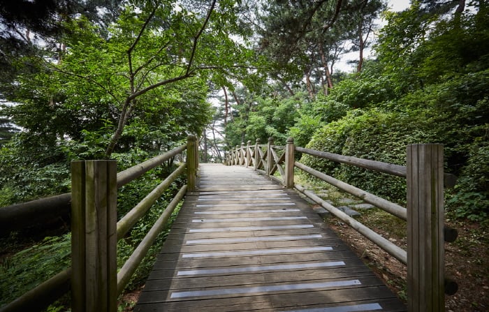 Jardín Botánico de Namsan (남산 야외식물원)21