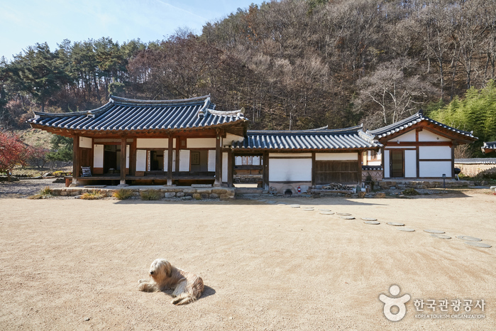 Song jeong Historic House [Korea Quality] / 송정고택 [한국관광 품질인증]