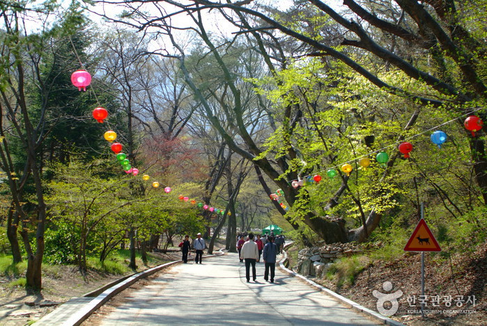Gongju Donghaksa Temple (동학사(공주))