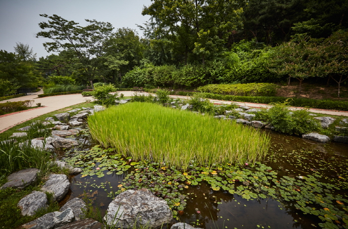 Jardín Botánico de Namsan (남산 야외식물원)7 Miniatura