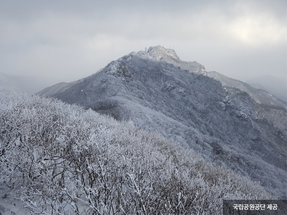 雞龍山國立公園(계룡산국립공원)