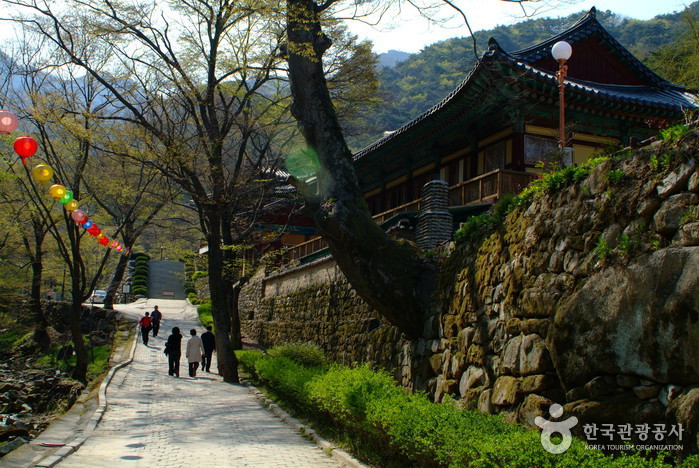 Gongju Donghaksa Temple (동학사(공주))