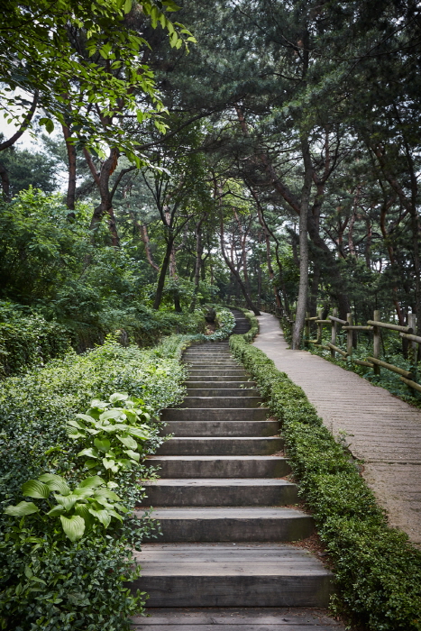 Jardín Botánico de Namsan (남산 야외식물원)24 Miniatura