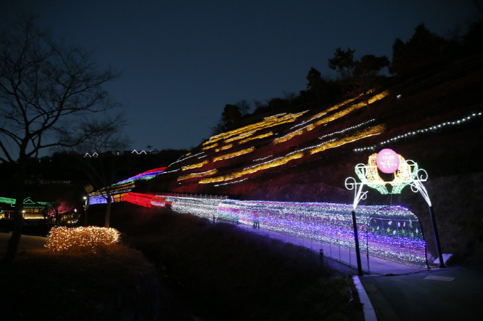 Boseong Tea Plantation Light Festival (보성차밭 빛축제)
