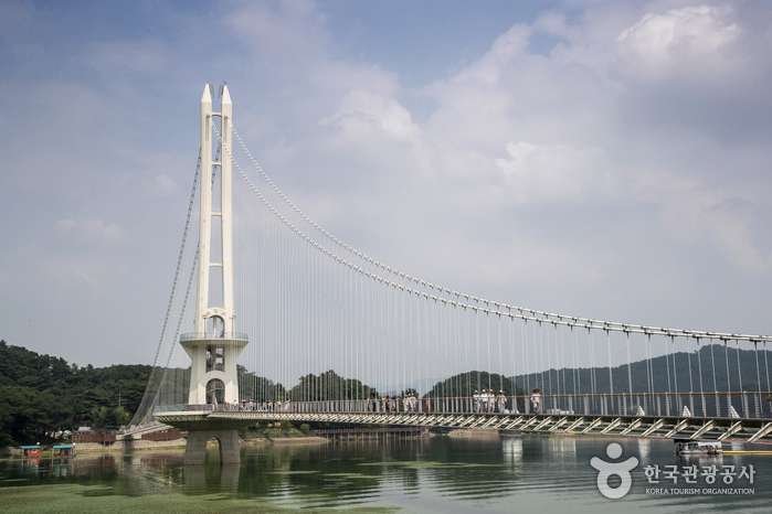 Puente Colgante Yedangho (예당호 출렁다리)7