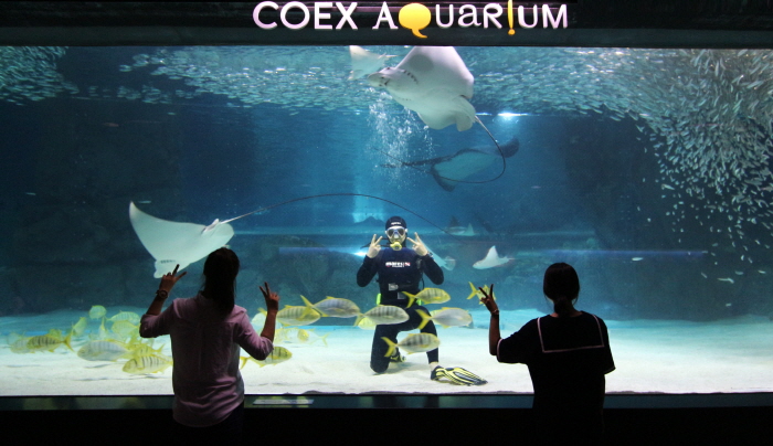 Aquarium del COEX (코엑스 아쿠아리움) 6 Miniatura