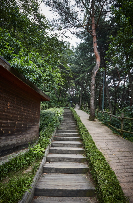 Jardín Botánico de Namsan (남산 야외식물원)25