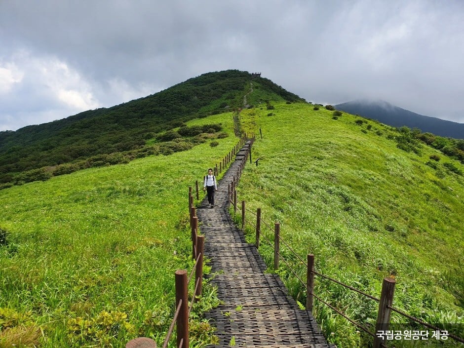 Nationalpark Sobaeksan (Gyeongsangbuk-do) (소백산국립공원(경북))