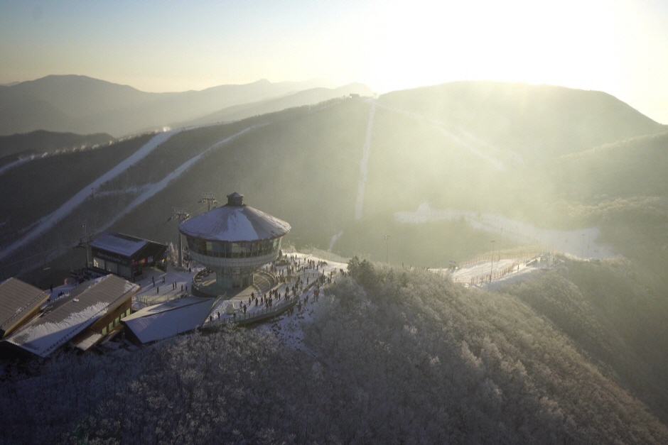 Estación de Esquí de High1 Resort (하이원리조트 스키장)7